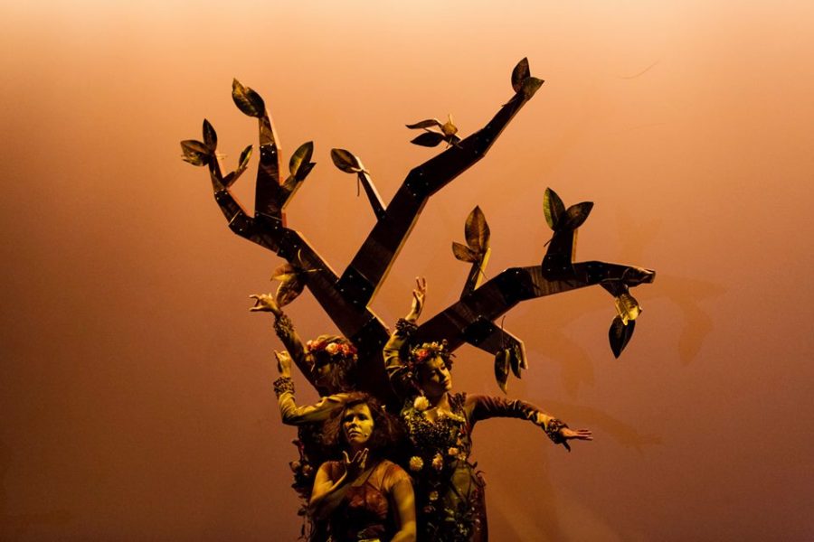 14355038_10210517129554082_2055063262838174375_n